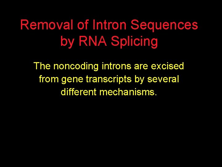 Removal of Intron Sequences by RNA Splicing The noncoding introns are excised from gene
