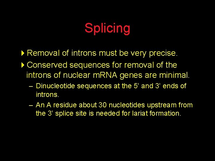 Splicing 4 Removal of introns must be very precise. 4 Conserved sequences for removal