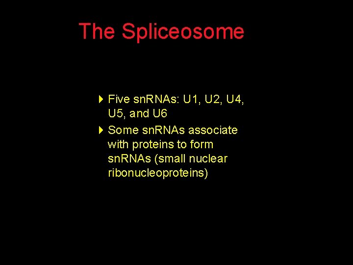 The Spliceosome 4 Five sn. RNAs: U 1, U 2, U 4, U 5,