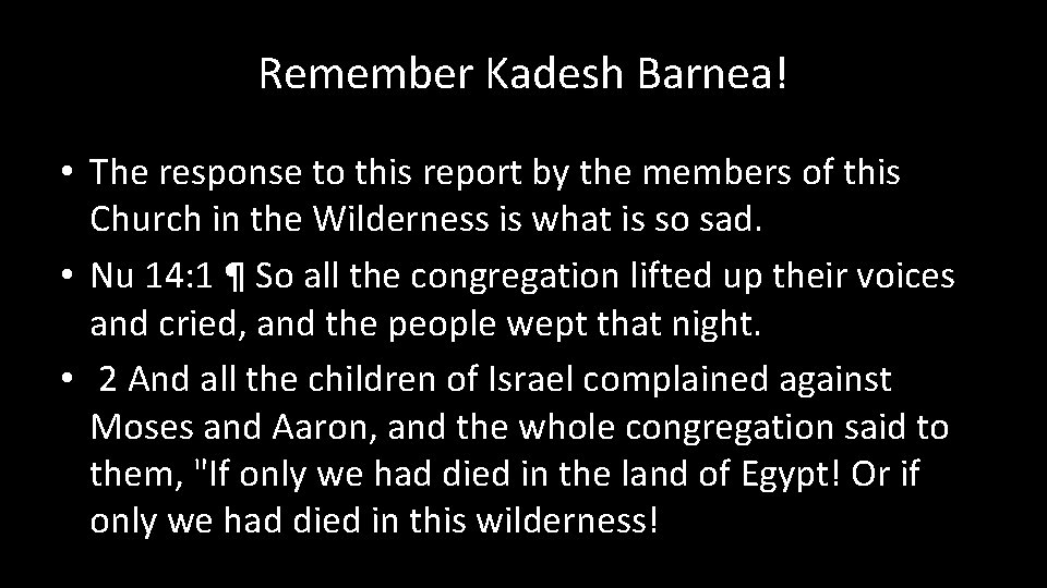 Remember Kadesh Barnea! • The response to this report by the members of this