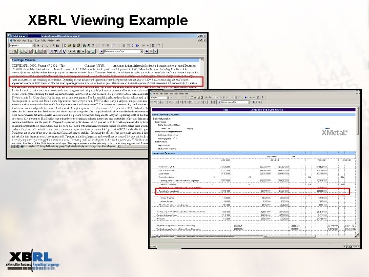 XBRL Viewing Example XXX 