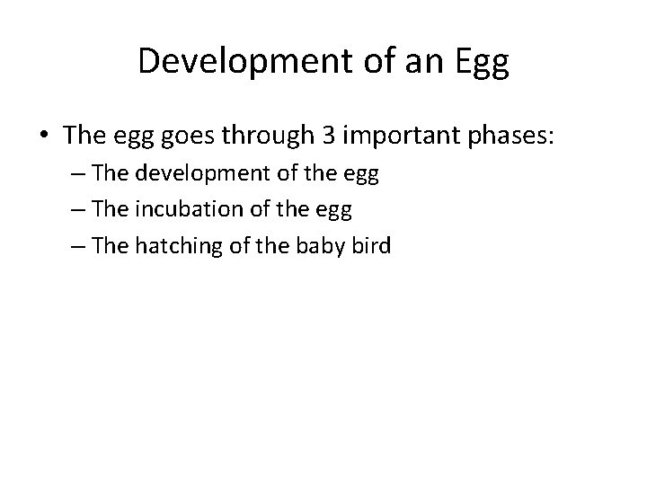 Development of an Egg • The egg goes through 3 important phases: – The