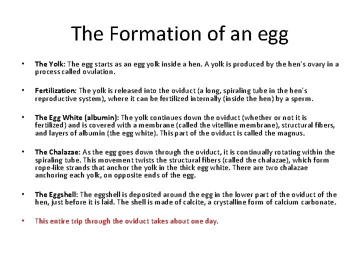 The Formation of an egg • The Yolk: The egg starts as an egg