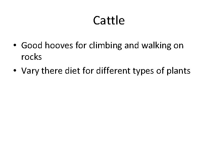 Cattle • Good hooves for climbing and walking on rocks • Vary there diet