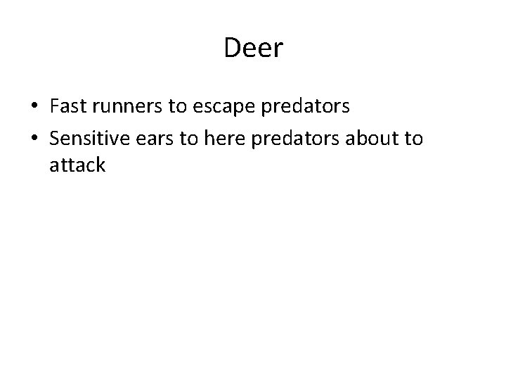 Deer • Fast runners to escape predators • Sensitive ears to here predators about