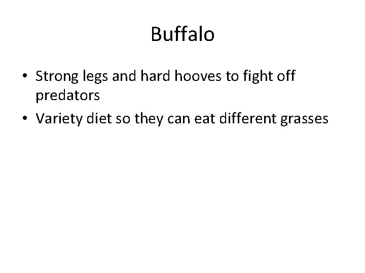 Buffalo • Strong legs and hard hooves to fight off predators • Variety diet