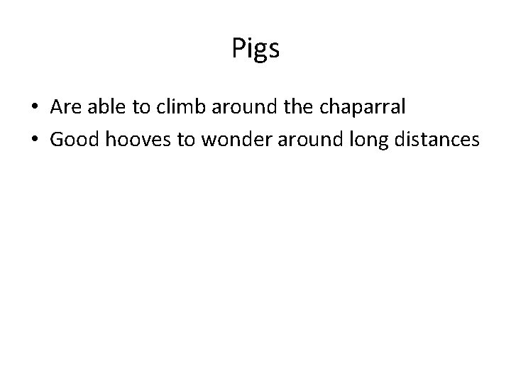 Pigs • Are able to climb around the chaparral • Good hooves to wonder