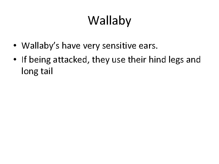 Wallaby • Wallaby’s have very sensitive ears. • If being attacked, they use their