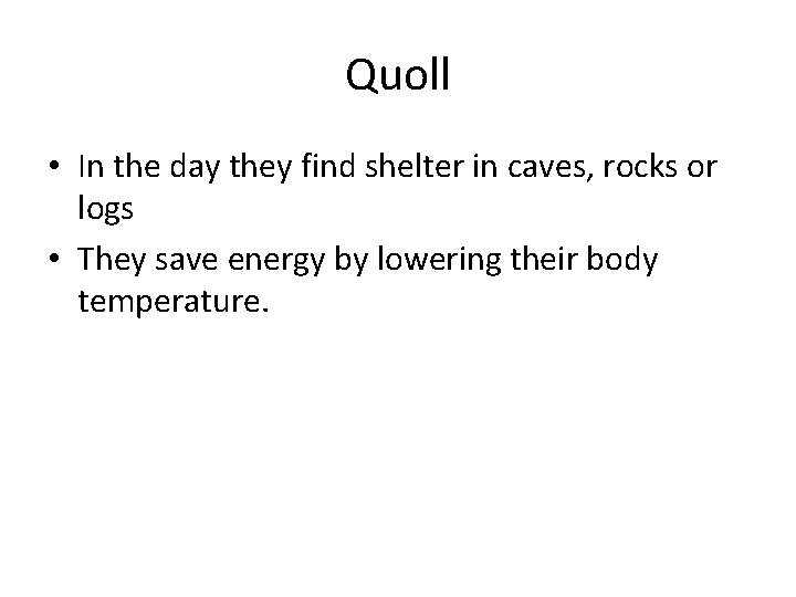 Quoll • In the day they find shelter in caves, rocks or logs •