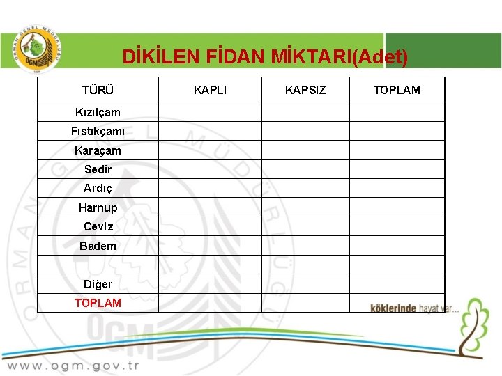 DİKİLEN FİDAN MİKTARI(Adet) TÜRÜ Kızılçam Fıstıkçamı Karaçam Sedir Ardıç Harnup Ceviz Badem Diğer TOPLAM