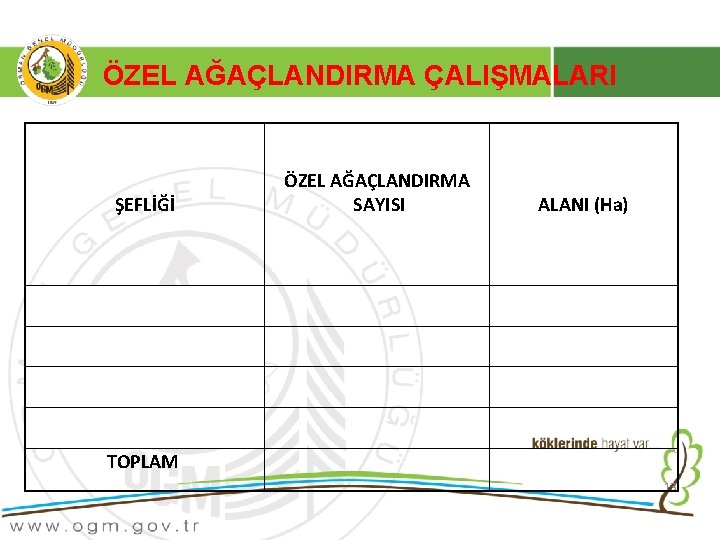 ÖZEL AĞAÇLANDIRMA ÇALIŞMALARI ŞEFLİĞİ ÖZEL AĞAÇLANDIRMA SAYISI ALANI (Ha) TOPLAM 13 