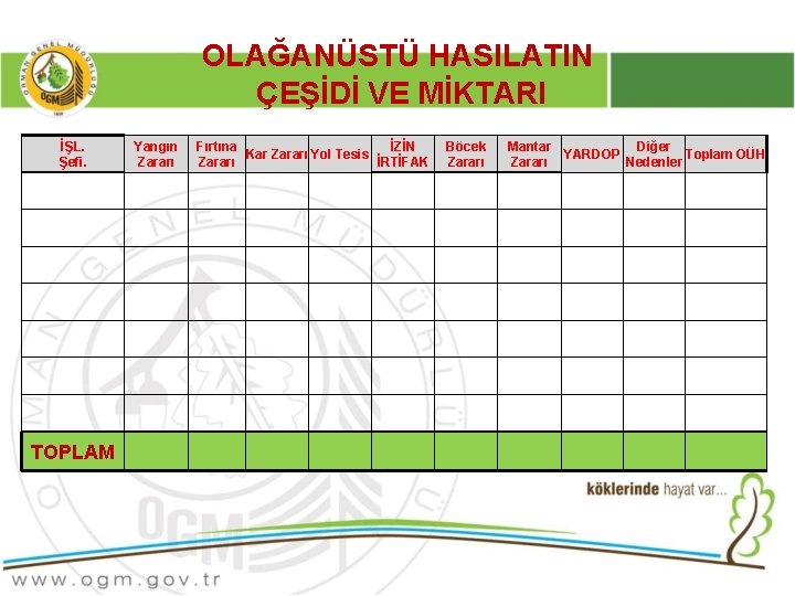 OLAĞANÜSTÜ HASILATIN ÇEŞİDİ VE MİKTARI İŞL. Şefi. TOPLAM Yangın Zararı Fırtına İZİN Kar Zararı