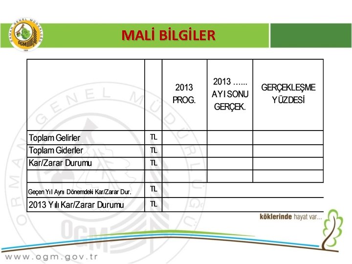 MALİ BİLGİLER 