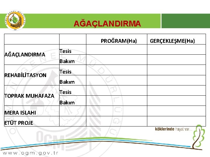 AĞAÇLANDIRMA PROĞRAM(Ha) AĞAÇLANDIRMA REHABİLİTASYON Tesis Bakım Tesis TOPRAK MUHAFAZA Bakım MERA ISLAHI ETÜT PROJE