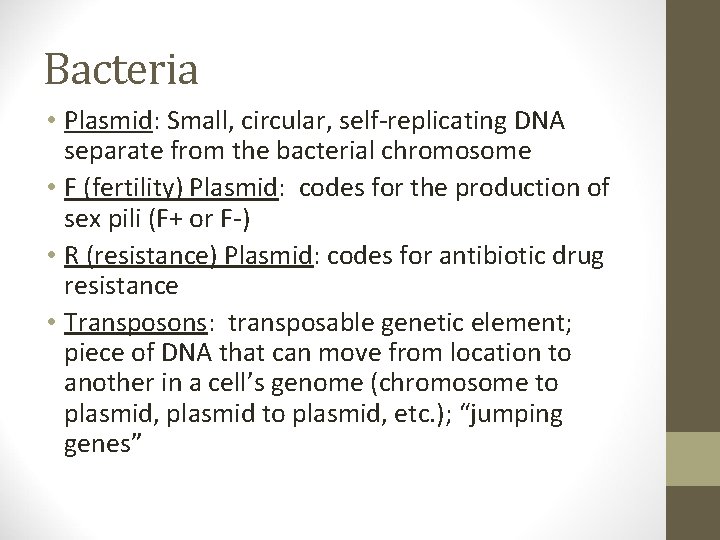 Bacteria • Plasmid: Small, circular, self-replicating DNA separate from the bacterial chromosome • F