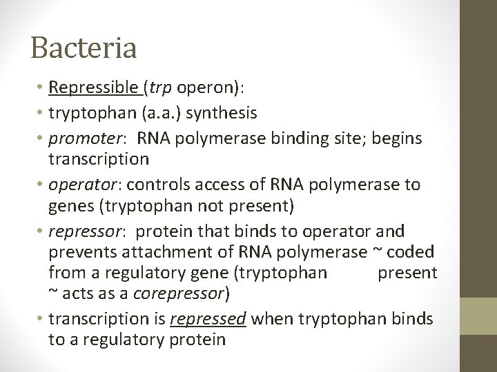 Bacteria • Repressible (trp operon): • tryptophan (a. a. ) synthesis • promoter: RNA