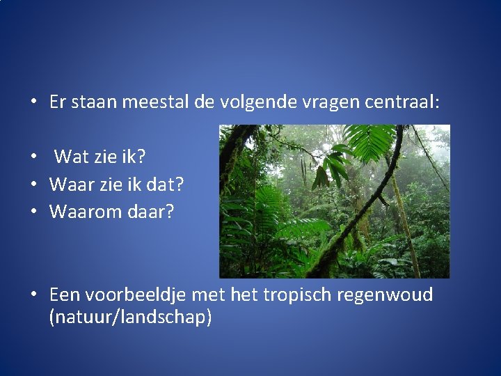  • Er staan meestal de volgende vragen centraal: • Wat zie ik? •