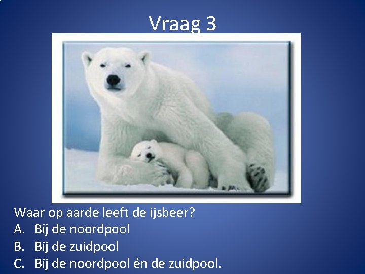 Vraag 3 Waar op aarde leeft de ijsbeer? A. Bij de noordpool B. Bij