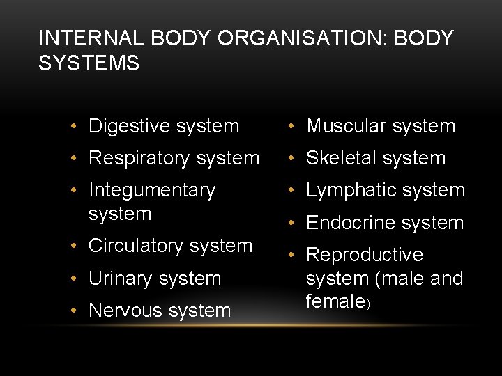 INTERNAL BODY ORGANISATION: BODY SYSTEMS • Digestive system • Muscular system • Respiratory system