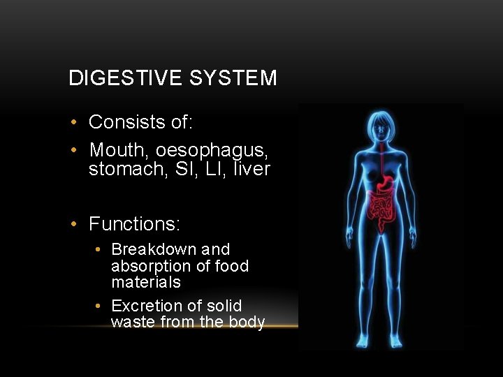 DIGESTIVE SYSTEM • Consists of: • Mouth, oesophagus, stomach, SI, LI, liver • Functions: