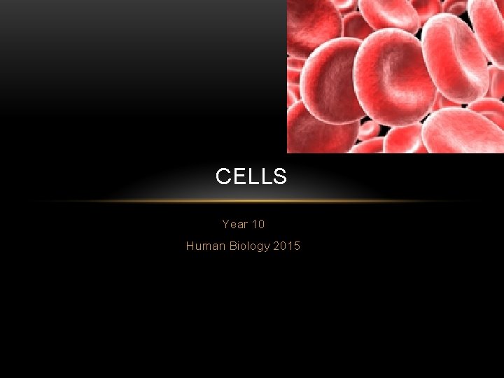 CELLS Year 10 Human Biology 2015 