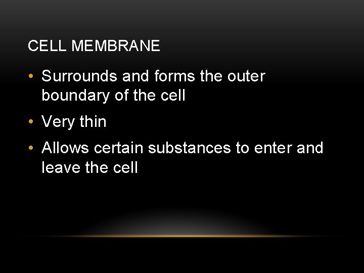 CELL MEMBRANE • Surrounds and forms the outer boundary of the cell • Very