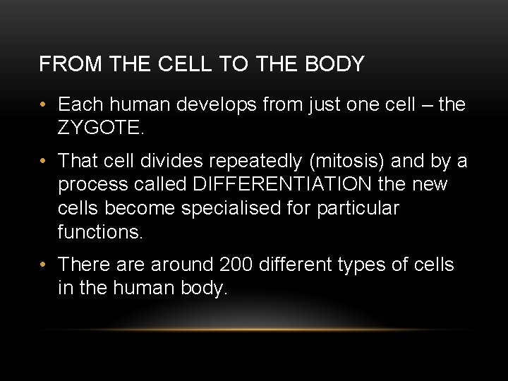 FROM THE CELL TO THE BODY • Each human develops from just one cell