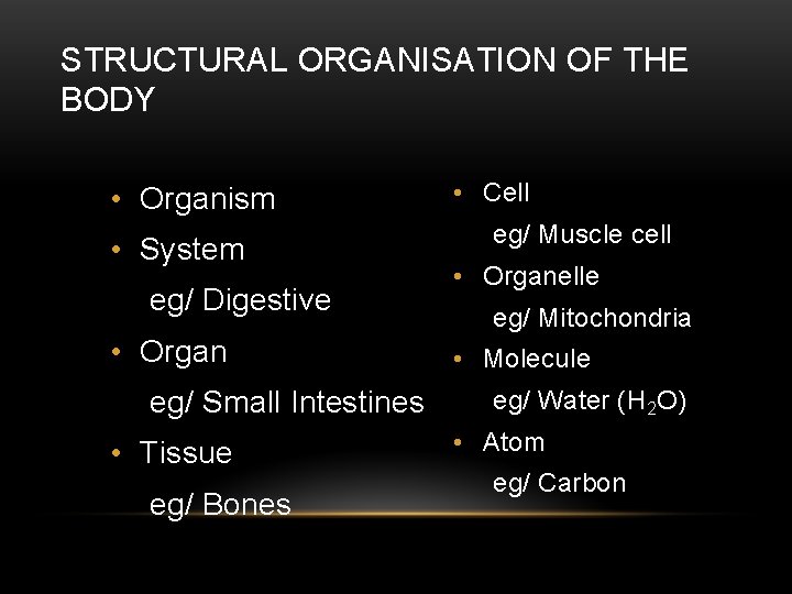 STRUCTURAL ORGANISATION OF THE BODY • Organism • System eg/ Digestive • Organ eg/