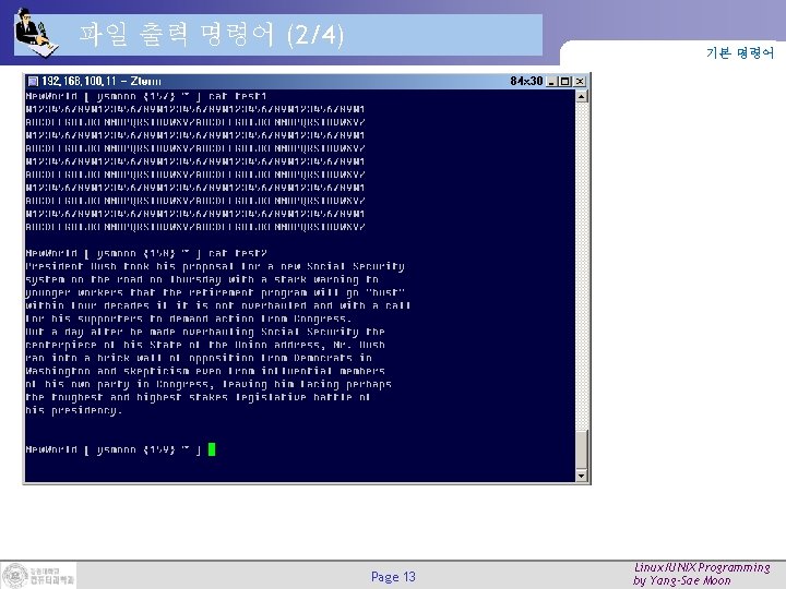 파일 출력 명령어 (2/4) 기본 명령어 Page 13 Linux/UNIX Programming by Yang-Sae Moon 