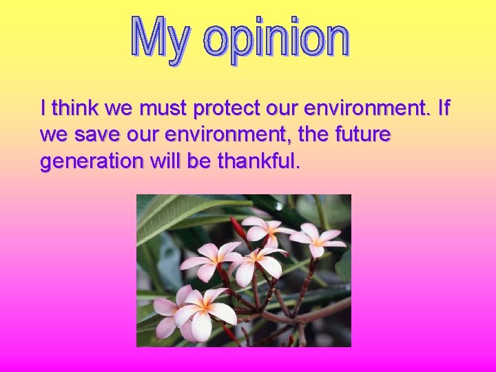 I think we must protect our environment. If we save our environment, the future