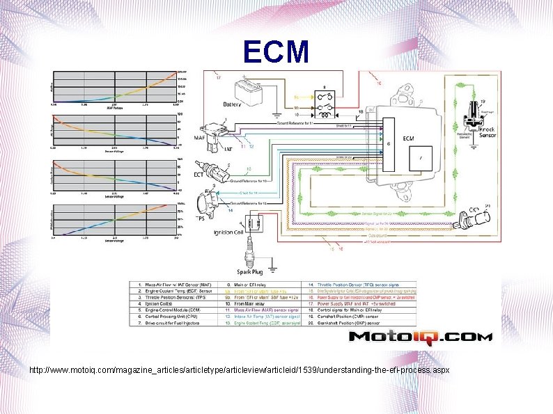 ECM http: //www. motoiq. com/magazine_articles/articletype/articleview/articleid/1539/understanding-the-efi-process. aspx 