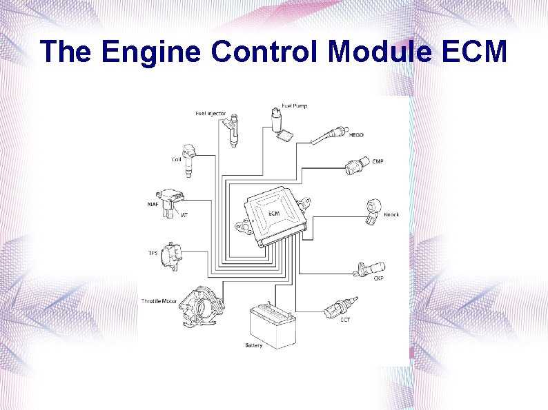 The Engine Control Module ECM 