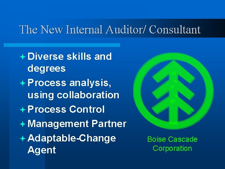 Boise Cascade Corporation The New Internal Auditor/ Consultant ª Diverse skills and degrees ª