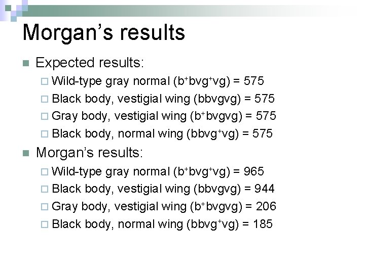 Morgan’s results n Expected results: ¨ Wild-type gray normal (b+bvg+vg) = 575 ¨ Black