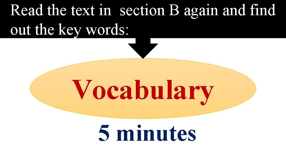 Read the text in section B again and find out the key words: Vocabulary
