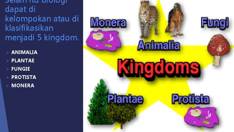 Selain itu biologi dapat di kelompokan atau di klasifikasikan menjadi 5 kingdom. Ø ANIMALIA