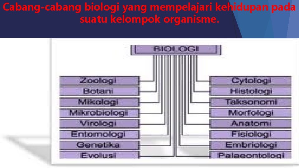 Cabang-cabang biologi yang mempelajari kehidupan pada suatu kelompok organisme. 