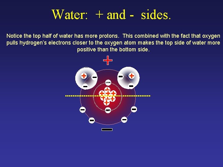 Water: + and - sides. Notice the top half of water has more protons.