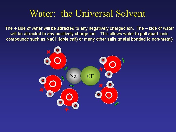 Water: the Universal Solvent Na+ O O The + side of water will be