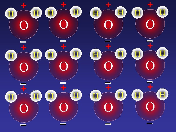 H H H H H O O H O H O H O 