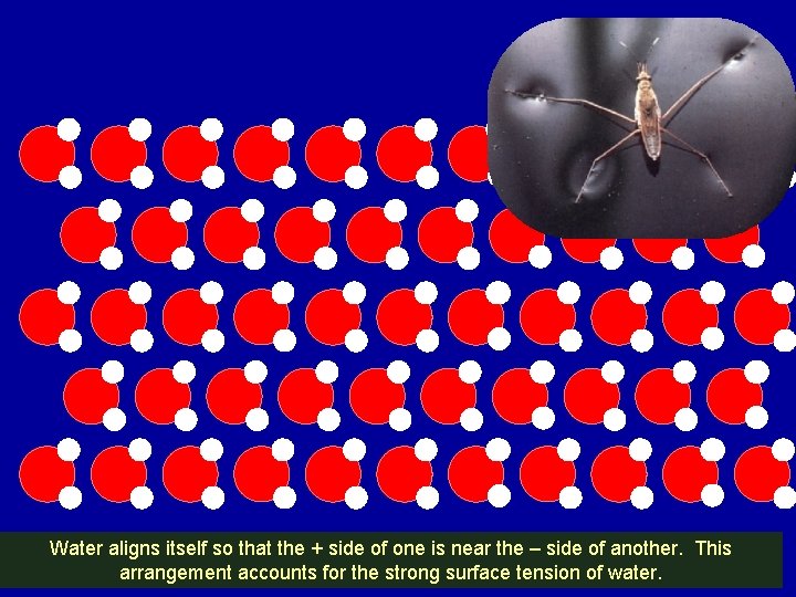 H H H H H H H O H H H H O O