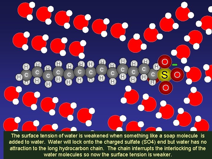 H O H H OH OH H H O O H H H O