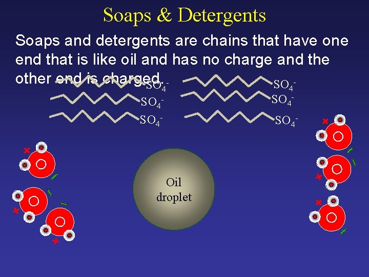 Soaps & Detergents Soaps and detergents are chains that have one end that is