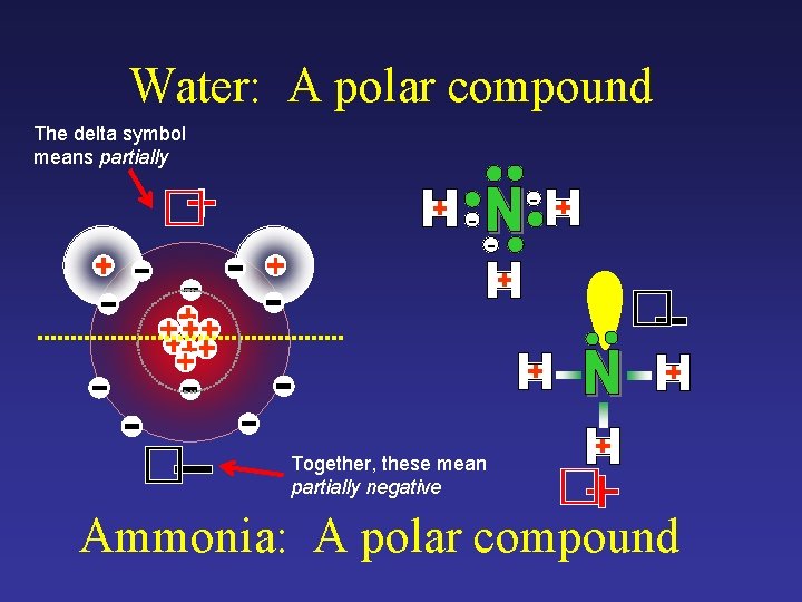 Water: A polar compound The delta symbol means partially � - - � Together,