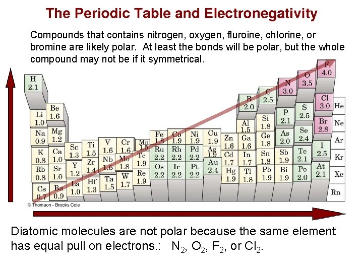 Compounds that contains nitrogen, oxygen, fluroine, chlorine, or bromine are likely polar. At least