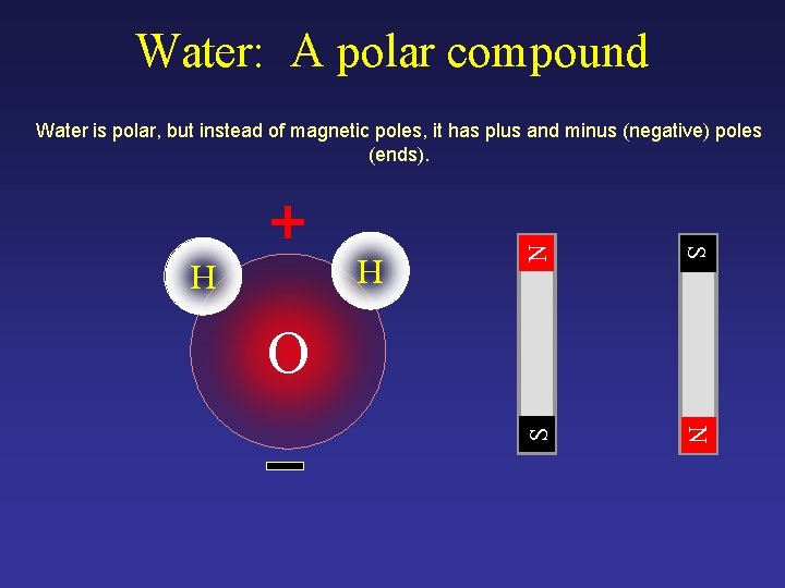 Water: A polar compound N S N H H S Water is polar, but