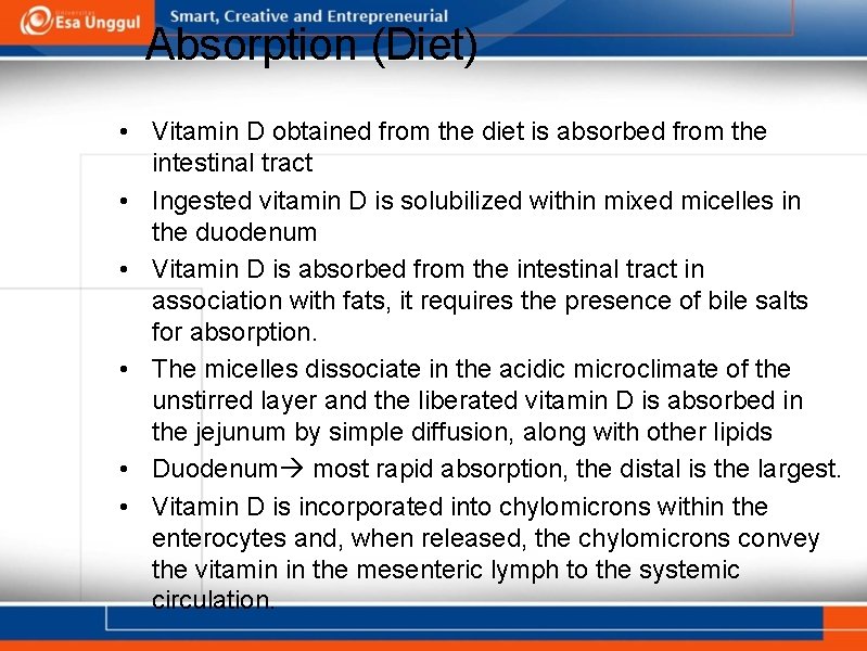 Absorption (Diet) • Vitamin D obtained from the diet is absorbed from the intestinal
