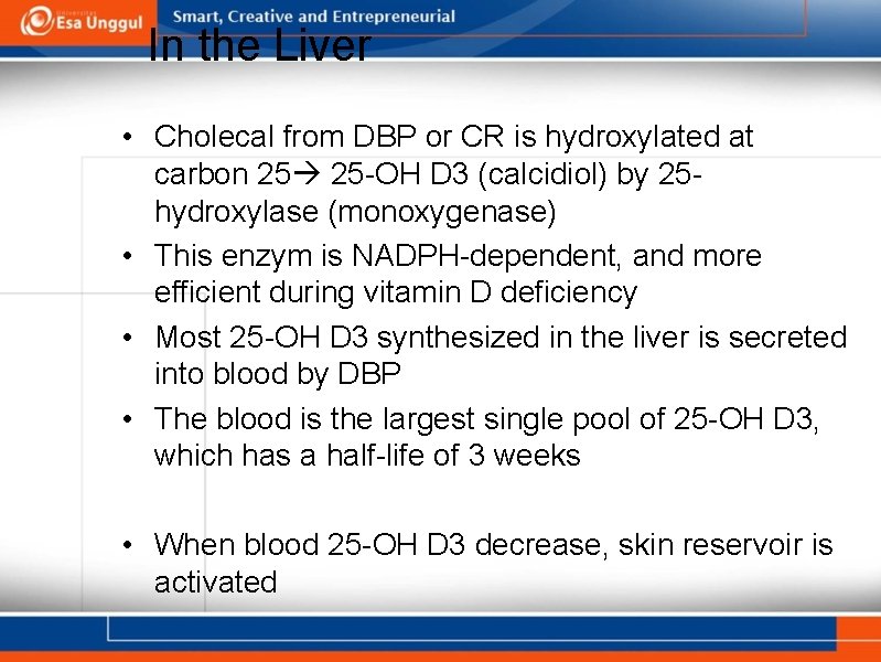 In the Liver • Cholecal from DBP or CR is hydroxylated at carbon 25