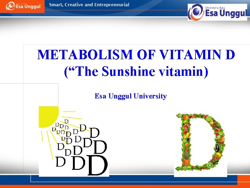 METABOLISM OF VITAMIN D (“The Sunshine vitamin) Esa Unggul University 