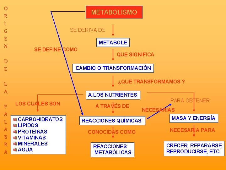 O R I G E N METABOLISMO SE DERIVA DE METABOLE SE DEFINE COMO